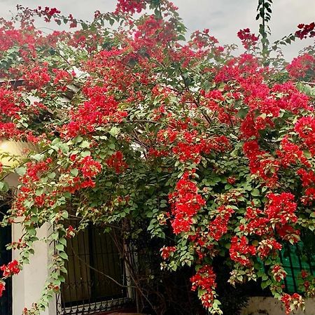 50N15 B&B Cali Ngoại thất bức ảnh