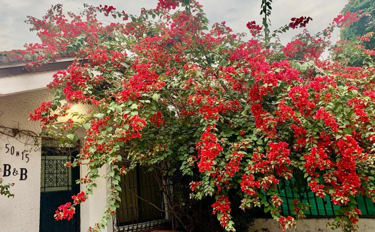 50N15 B&B Cali Ngoại thất bức ảnh