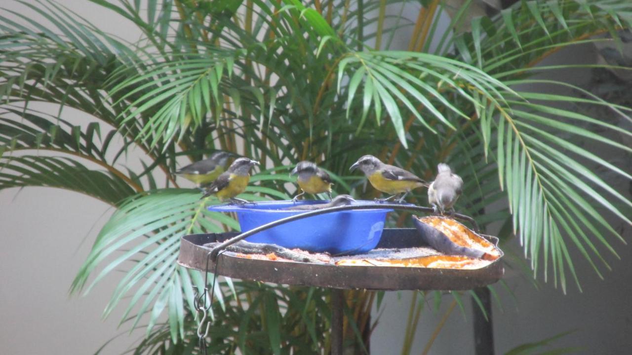 50N15 B&B Cali Ngoại thất bức ảnh